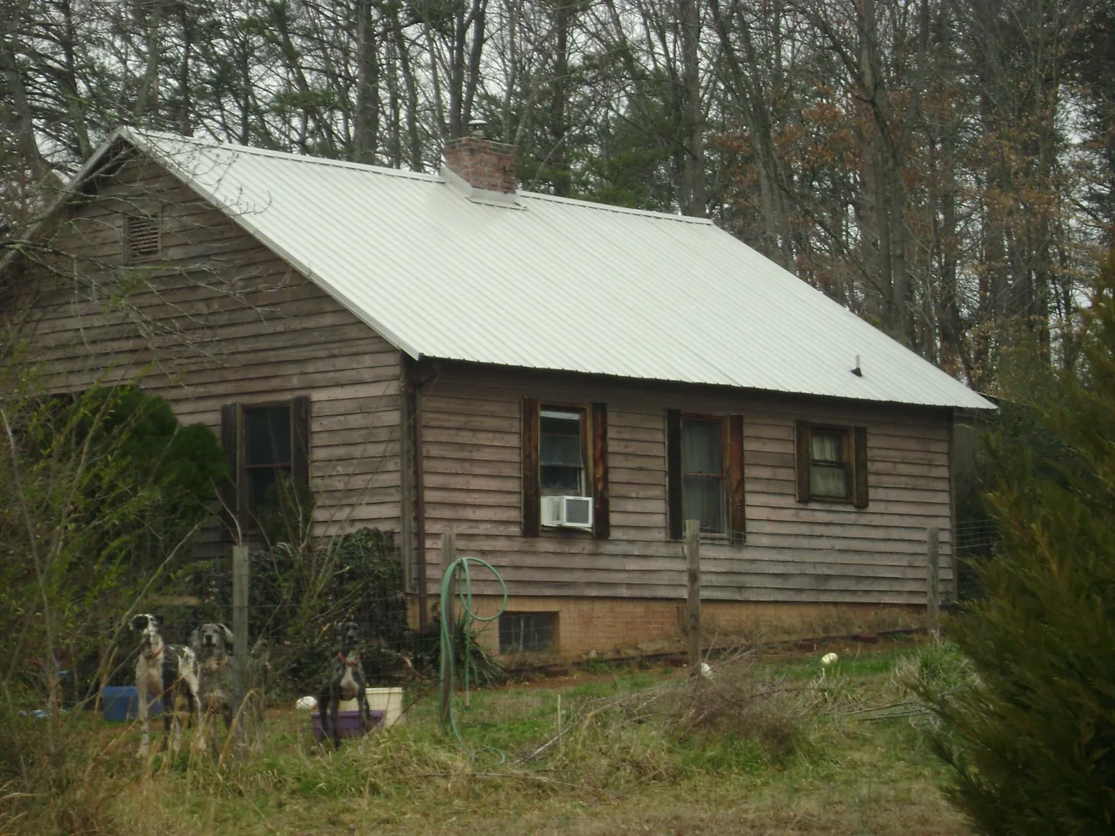White metal roof on an old wood sided farmhouse, from a Asphalt Shingle Roof Repair job in North Creek